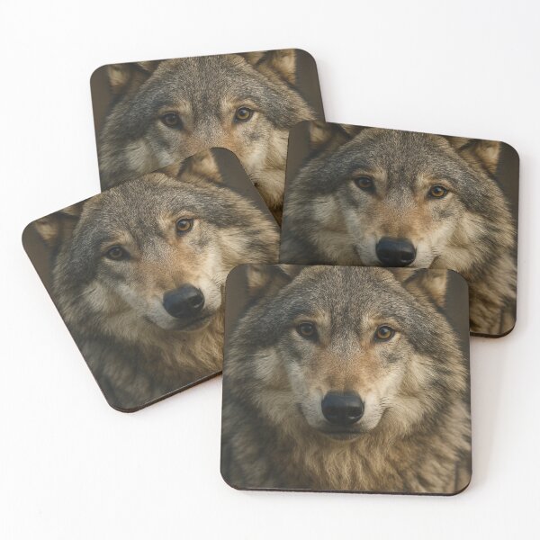 Item preview, Intense Gaze of the Wolf designed and sold by James McCleese.
