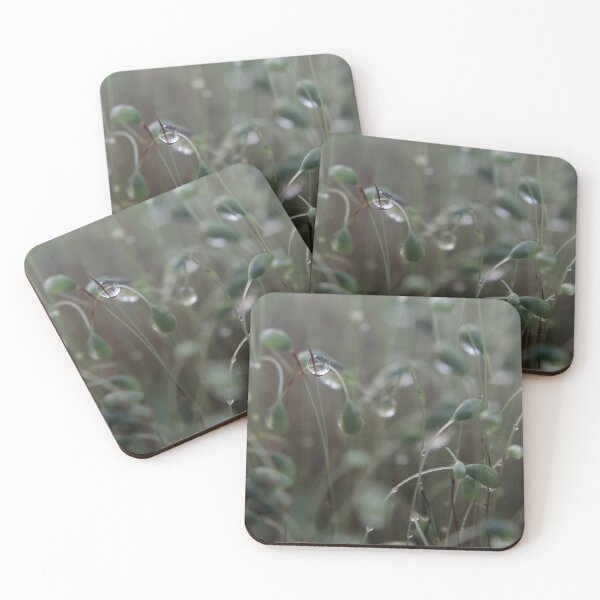 Item preview, Dew drops on moss designed and sold by AnthonyThomas.