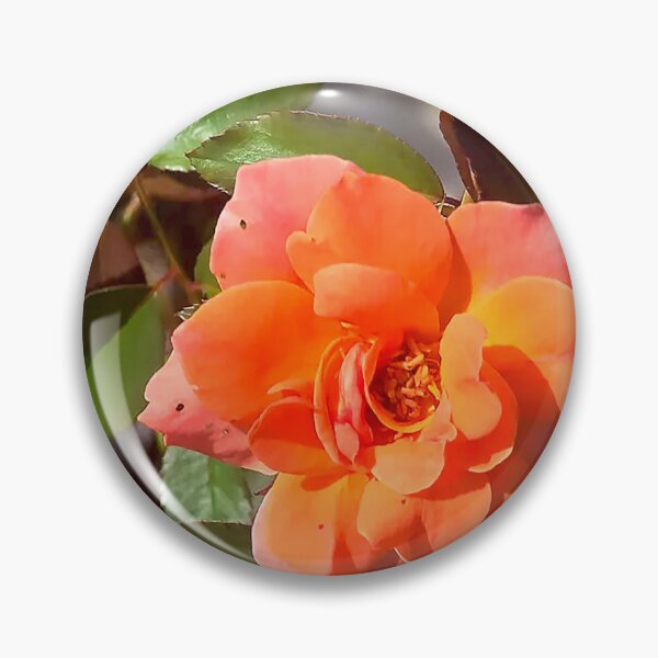 Item preview, Fiery Orange Rose in Bloom designed and sold by Exodoi.