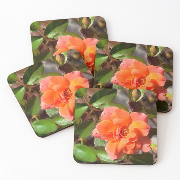 Item preview, Fiery Orange Rose in Bloom designed and sold by Exodoi.