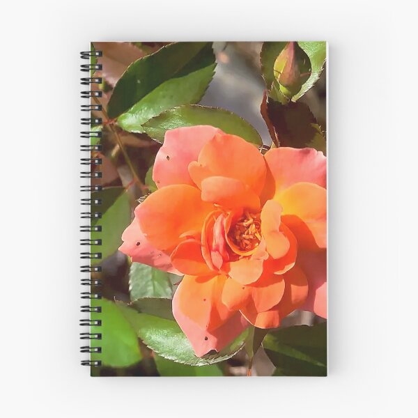 Item preview, Fiery Orange Rose in Bloom designed and sold by Exodoi.