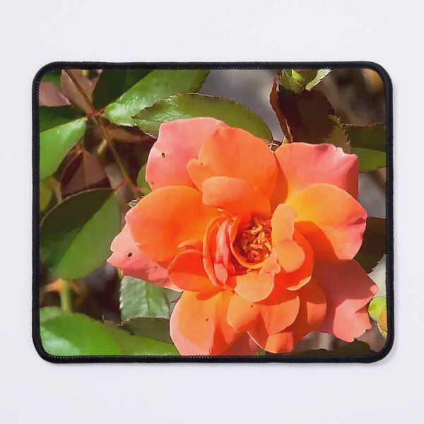 Item preview, Fiery Orange Rose in Bloom designed and sold by Exodoi.