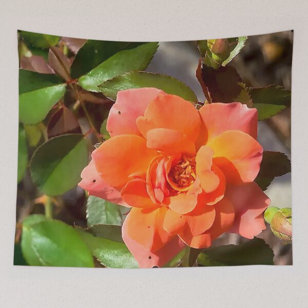 Item preview, Fiery Orange Rose in Bloom designed and sold by Exodoi.