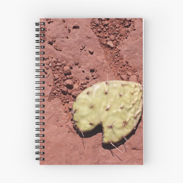 Item preview, Cactus Petal on Red Rock designed and sold by Logan McCarthy.