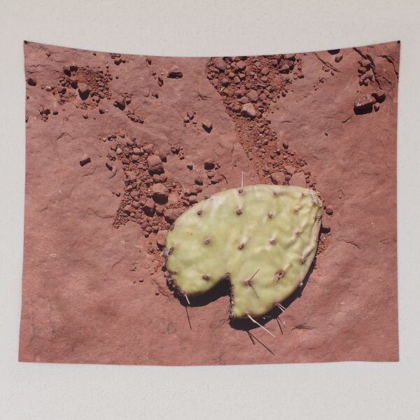 Item preview, Cactus Petal on Red Rock designed and sold by Logan McCarthy.