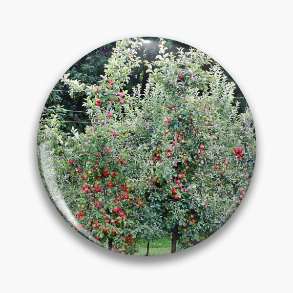Item preview, A Plentiful Crop of Apples designed and sold by Martha Sherman.