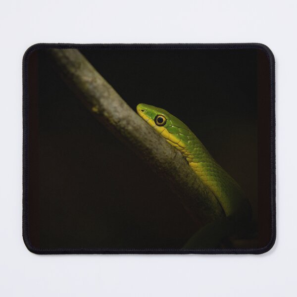 Item preview, Rough Green Snake in the Dark designed and sold by Shannon Emmel .