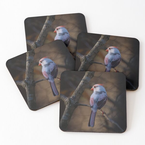 Item preview, Rare Leucistic Cardinal in Autumn designed and sold by Shannon Emmel .