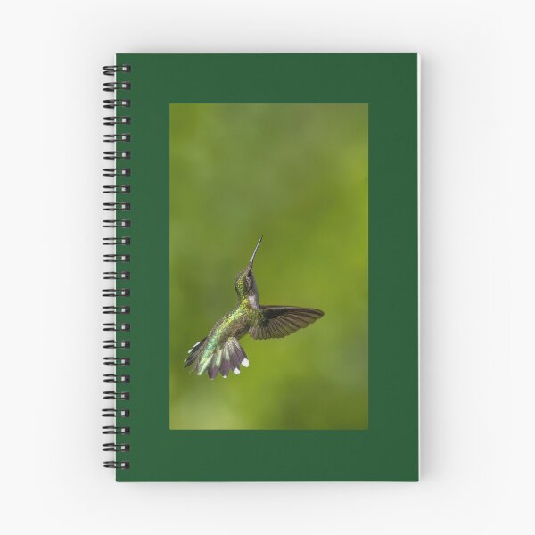 Item preview, Ruby-throated Hummingbird Looks Up designed and sold by Shannon Emmel .