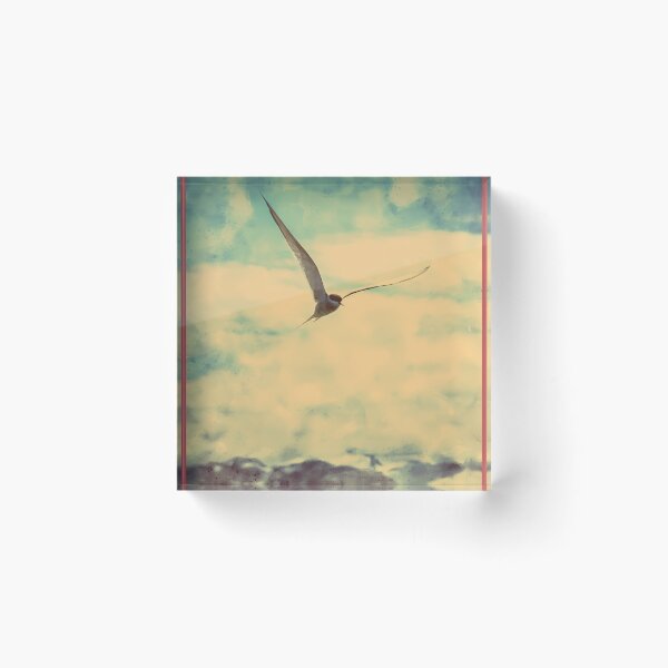 Item preview, Arctic-Tern-In-Eyjafjrur---Watercolor designed and sold by FunnyCate.
