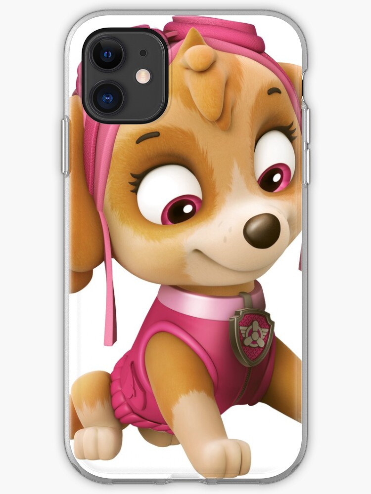 paw patrol case