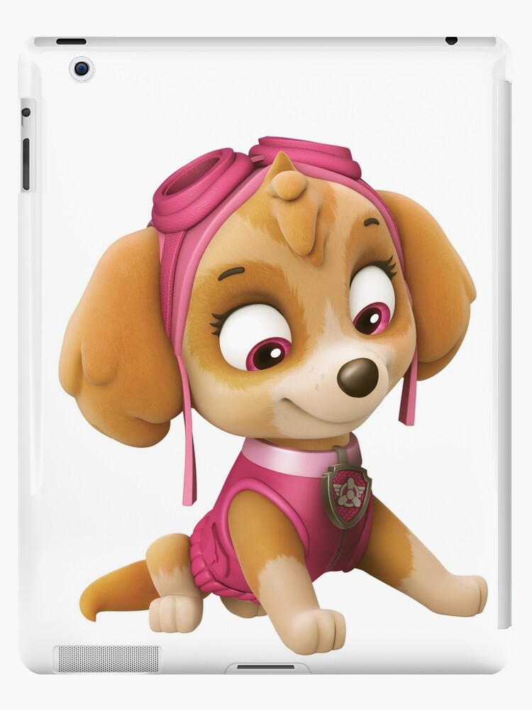 skye paw patrol skye paw patrol