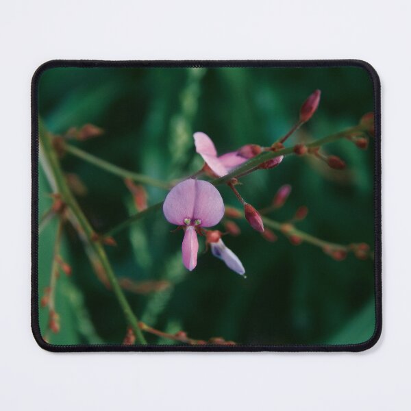 Item preview, Tall Tick Trefoil Bloom designed and sold by gistinker.