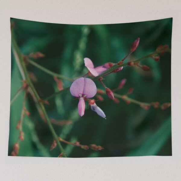 Item preview, Tall Tick Trefoil Bloom designed and sold by gistinker.
