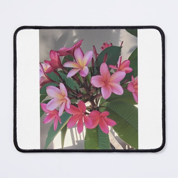 Item preview, Franjipani designed and sold by Keljawa64.