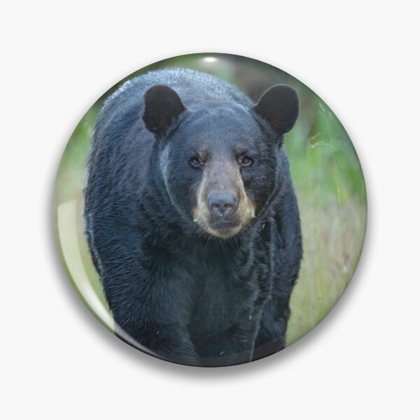 Item preview, Black Bear Coming for You designed and sold by Shannon Emmel .