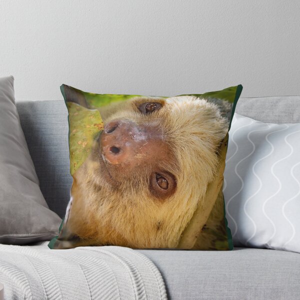 Item preview, Two-toed Sloth Relaxing  designed and sold by Shannon Emmel .