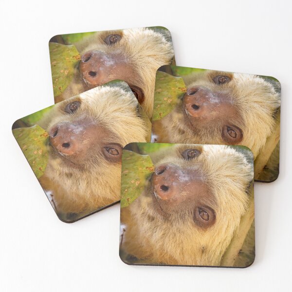Item preview, Two-toed Sloth Relaxing  designed and sold by Shannon Emmel .