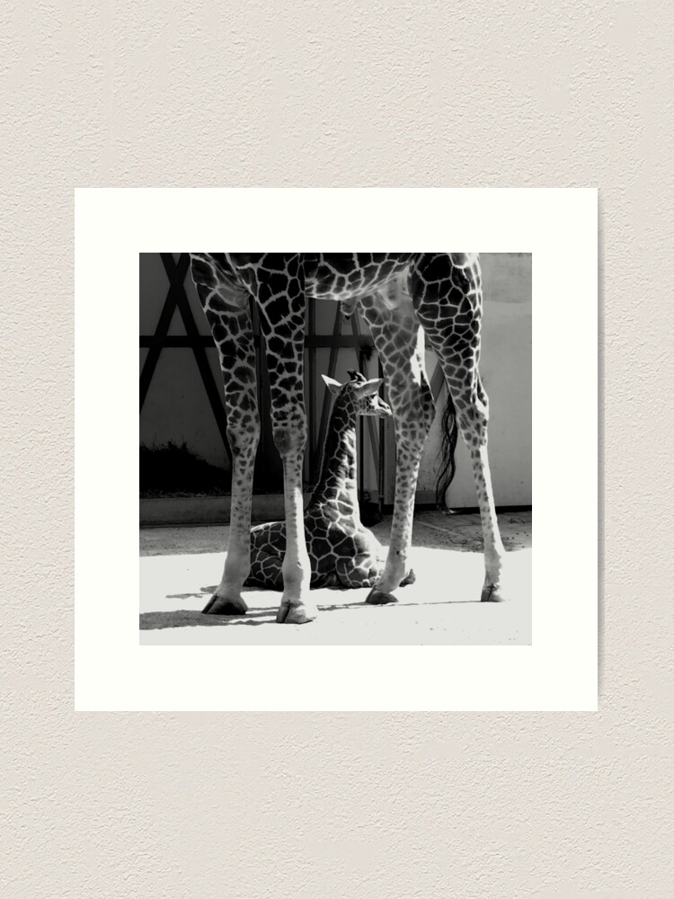 Thumbnail 1 of 3, Art Print, Niek and Dad - Close-up designed and sold by steppeland.