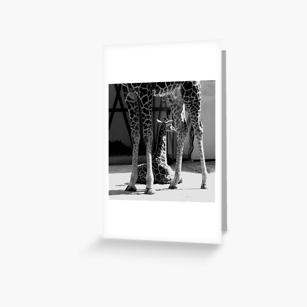 Item preview, Greeting Card designed and sold by steppeland.