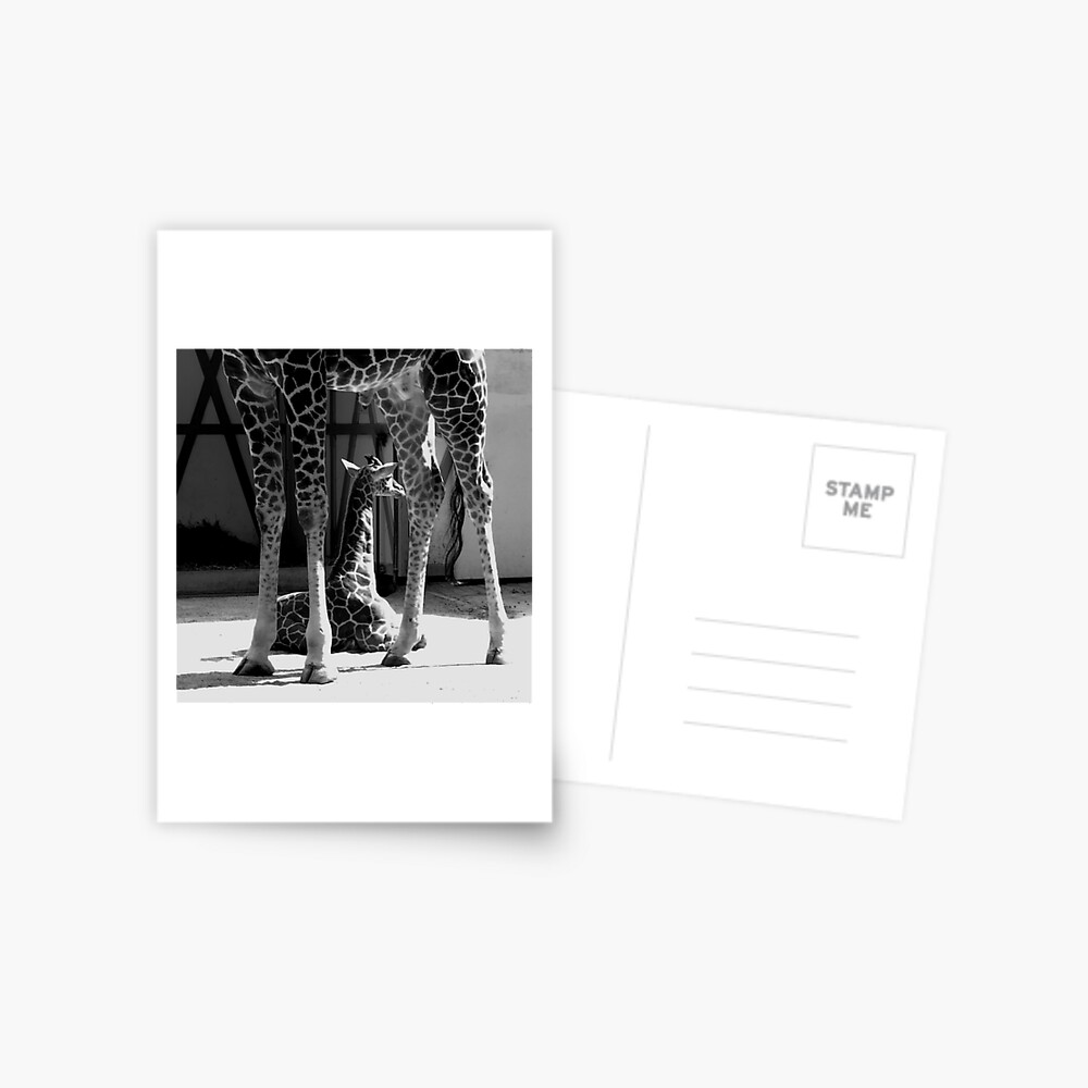 Item preview, Postcard designed and sold by steppeland.