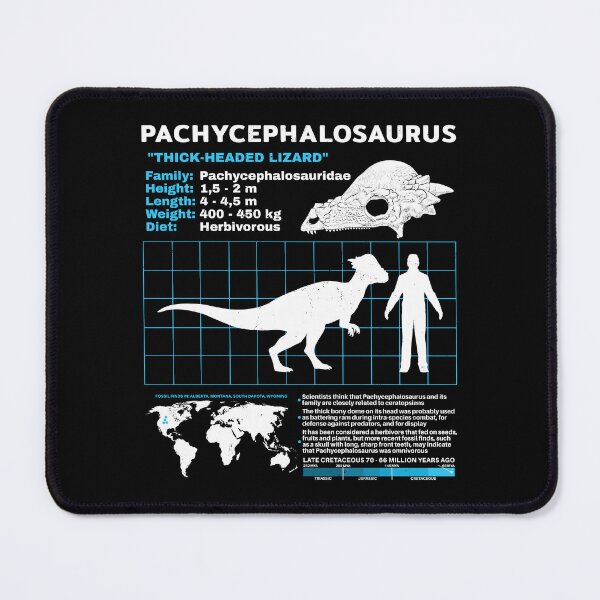 Item preview, Pachycephalosaurus Fact Sheet designed and sold by NicGrayGraphic.