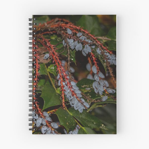 Item preview, Mahonia designed and sold by LucaArden.