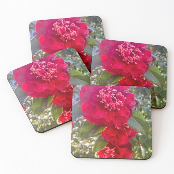 Item preview, Bold Red Camellia Flowers in Bloom designed and sold by Be Captured by Brittany Emma.