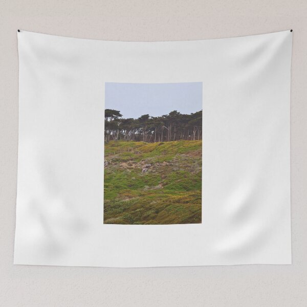 Item preview, Serene Coastal Landscape with Dense Trees designed and sold by Phakade's Photos.