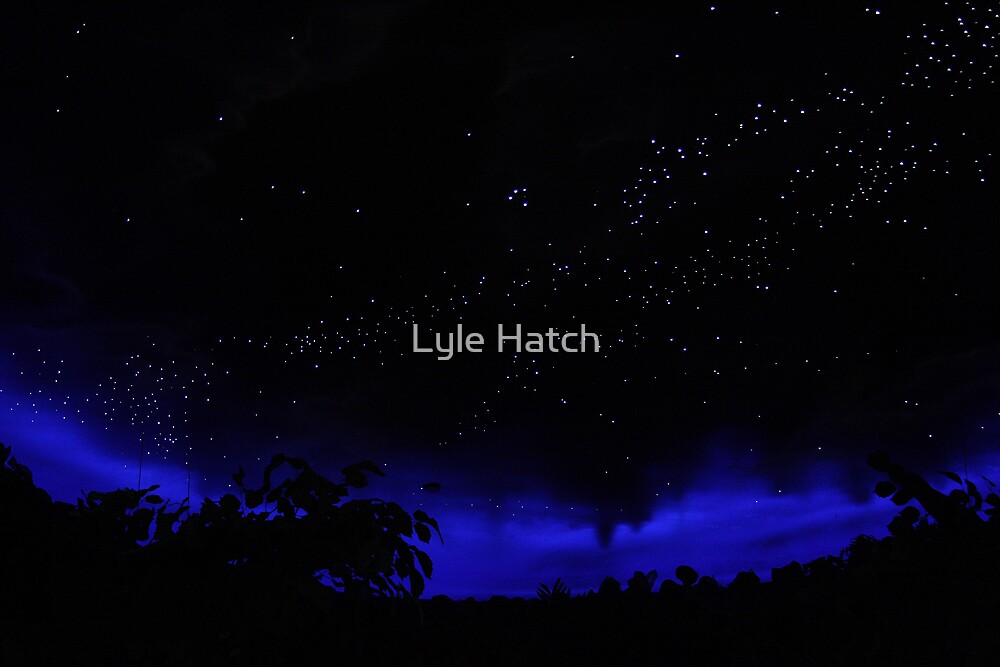 Stars Over The Rainforest Cafe By Lyle Hatch Redbubble