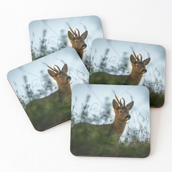 Item preview, Roe deer buck designed and sold by CEastwoodPhotos.