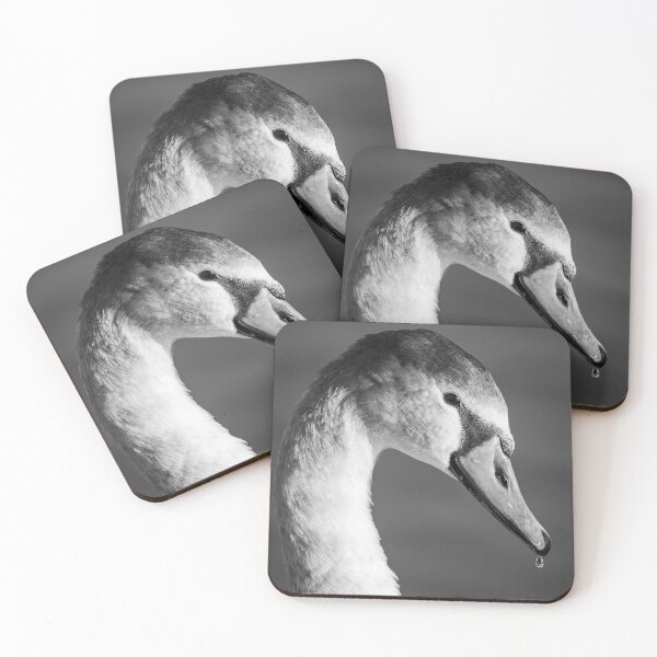 Item preview, Cygnet Close-Up Portrait: Black and White  designed and sold by CEastwoodPhotos.