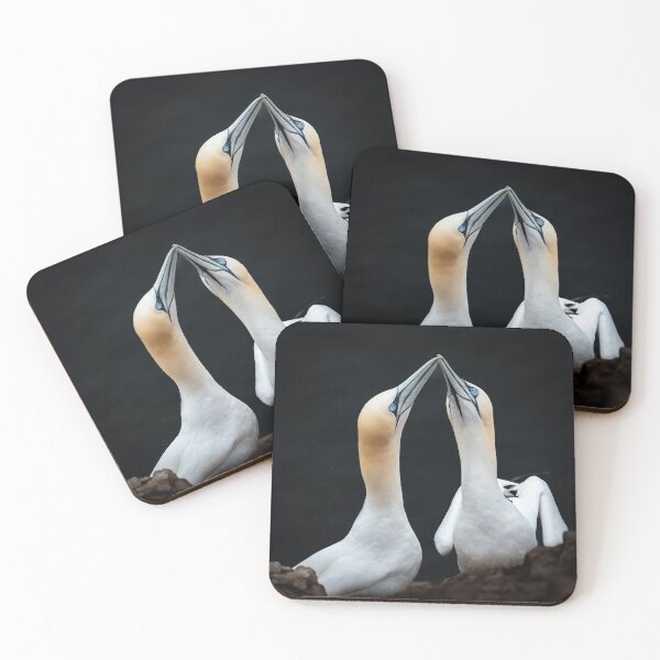 Item preview, Northern Gannet Love Renewal designed and sold by CEastwoodPhotos.