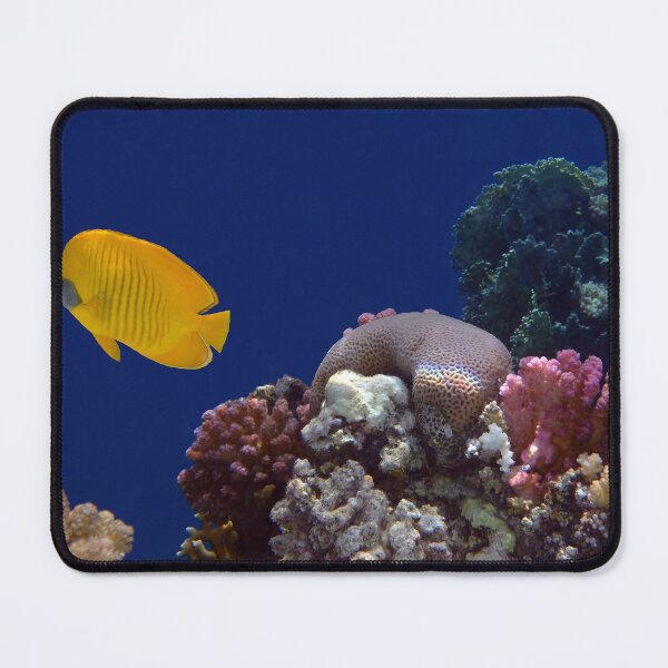 Item preview, Colorful Coralreef designed and sold by hurmerinta.