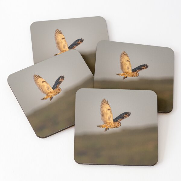 Item preview, Short eared owl on the wing with prey designed and sold by CEastwoodPhotos.