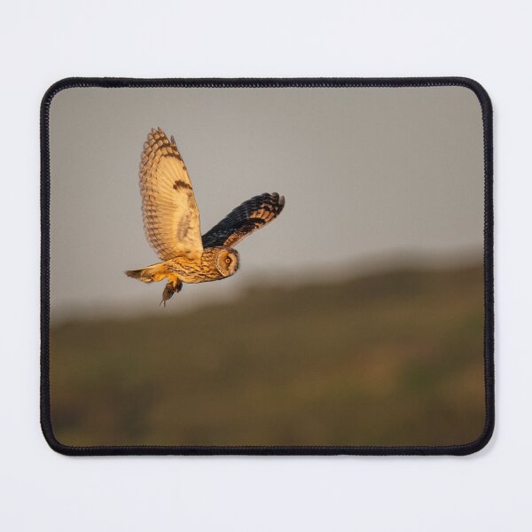 Item preview, Short eared owl on the wing with prey designed and sold by CEastwoodPhotos.