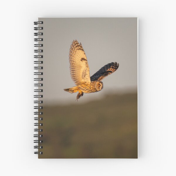 Item preview, Short eared owl on the wing with prey designed and sold by CEastwoodPhotos.