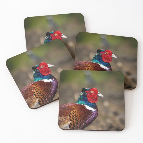 Item preview, Colourful Pheasant  designed and sold by CEastwoodPhotos.