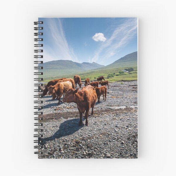 Item preview, Loch Na Keal Cows designed and sold by CEastwoodPhotos.
