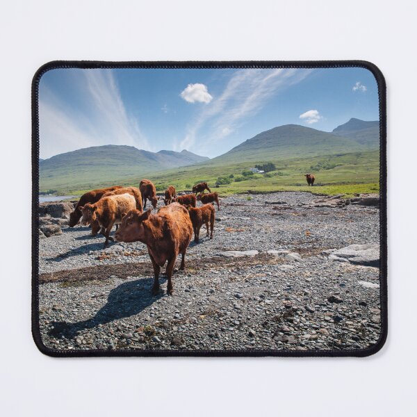 Item preview, Loch Na Keal Cows designed and sold by CEastwoodPhotos.
