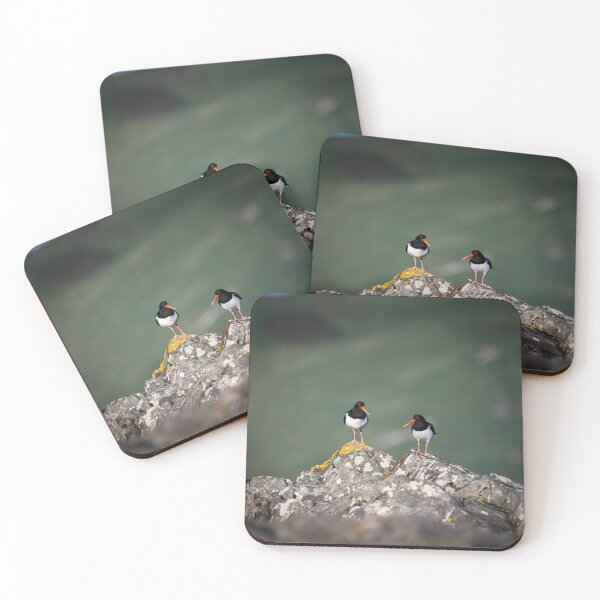 Item preview, Oystercatchers Isle of Mull 'Come here often? designed and sold by CEastwoodPhotos.