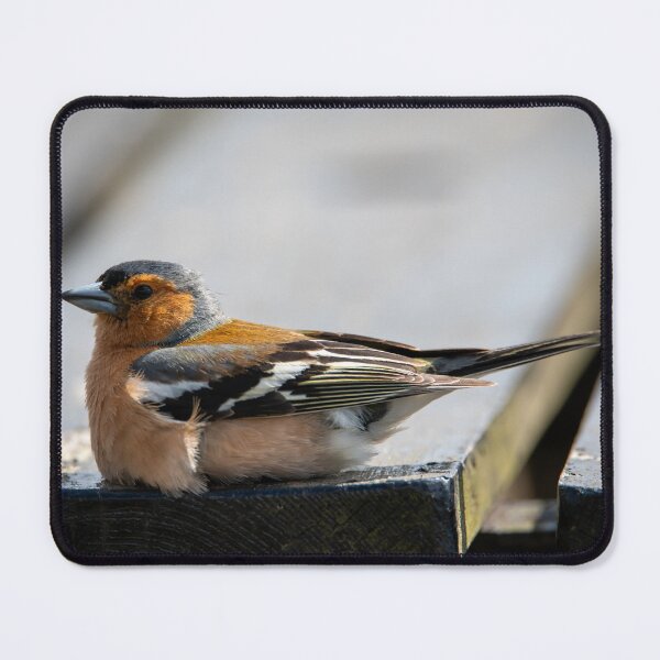 Item preview, Cheeky Chaffinch  designed and sold by CEastwoodPhotos.
