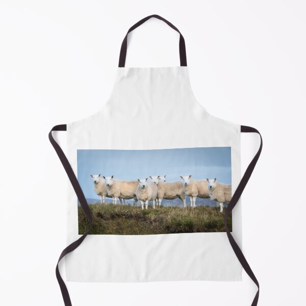 Item preview, Highland Sheep Firemore Sands designed and sold by CEastwoodPhotos.