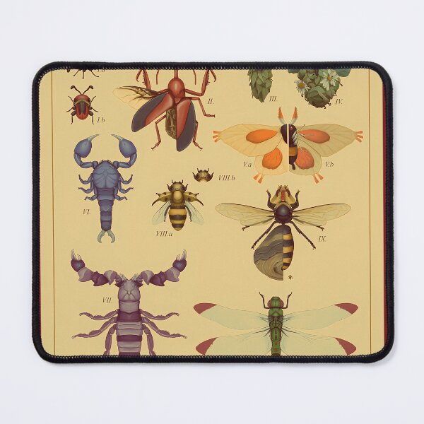 Item preview, Arthropods-From-Sinnoh designed and sold by BenAminrefe.