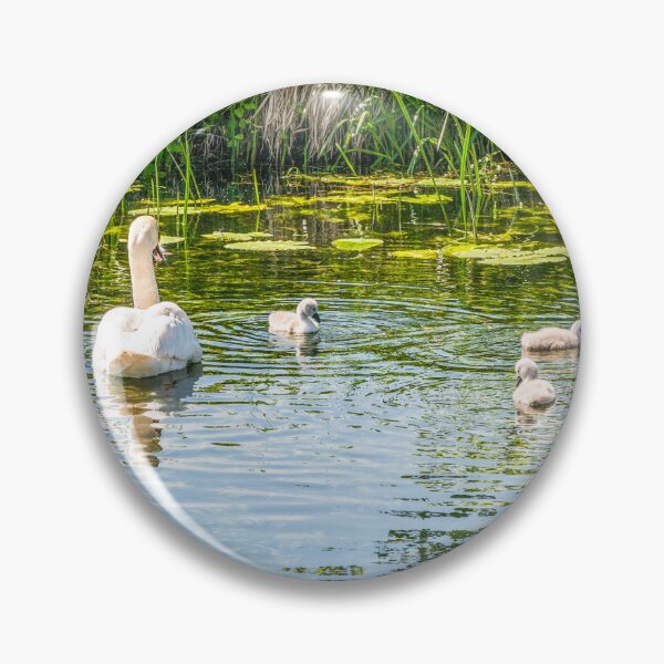 Item preview, Swan and  Cygnets River Great Ouse designed and sold by Jim Key.