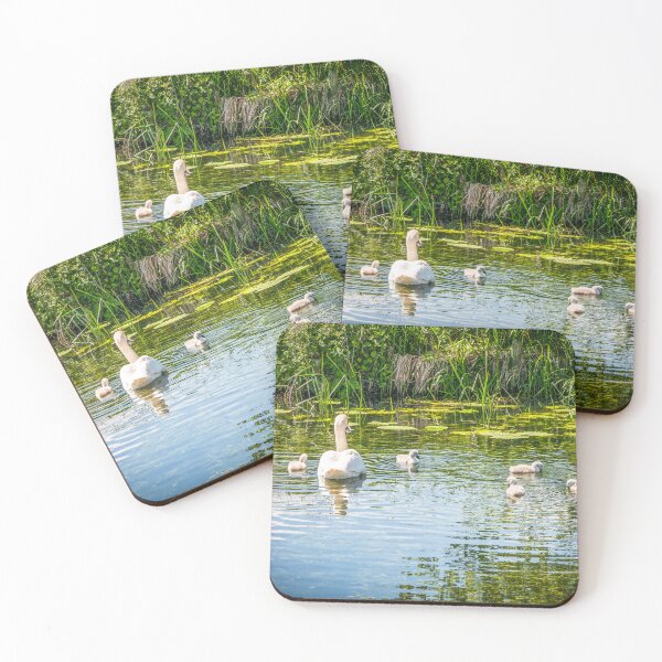 Item preview, Swan and  Cygnets River Great Ouse designed and sold by Jim Key.