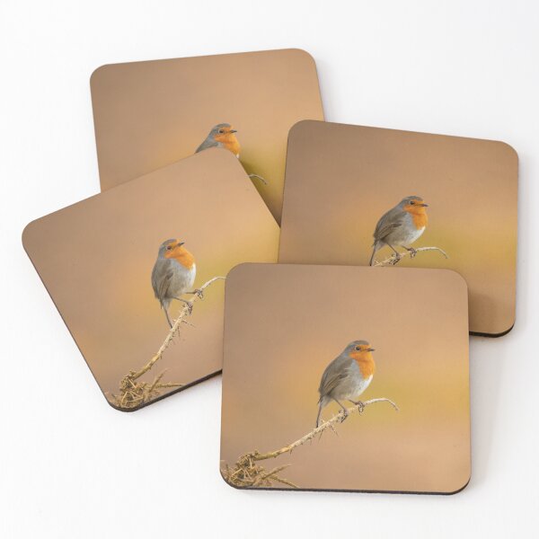 Item preview, Robin red breast in perched in the evening light designed and sold by CEastwoodPhotos.