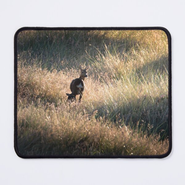Item preview, Roe Deer Doe and Fawn in Forvie Nature Reserve designed and sold by CEastwoodPhotos.