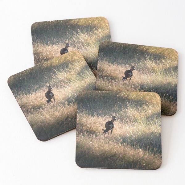 Item preview, Roe Deer Doe and Fawn in Forvie Nature Reserve designed and sold by CEastwoodPhotos.