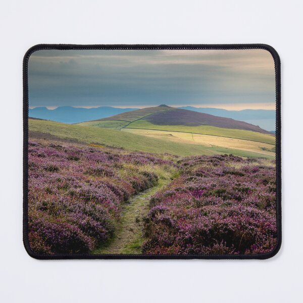 Item preview, Path to Mynydd Carnguwch designed and sold by CEastwoodPhotos.